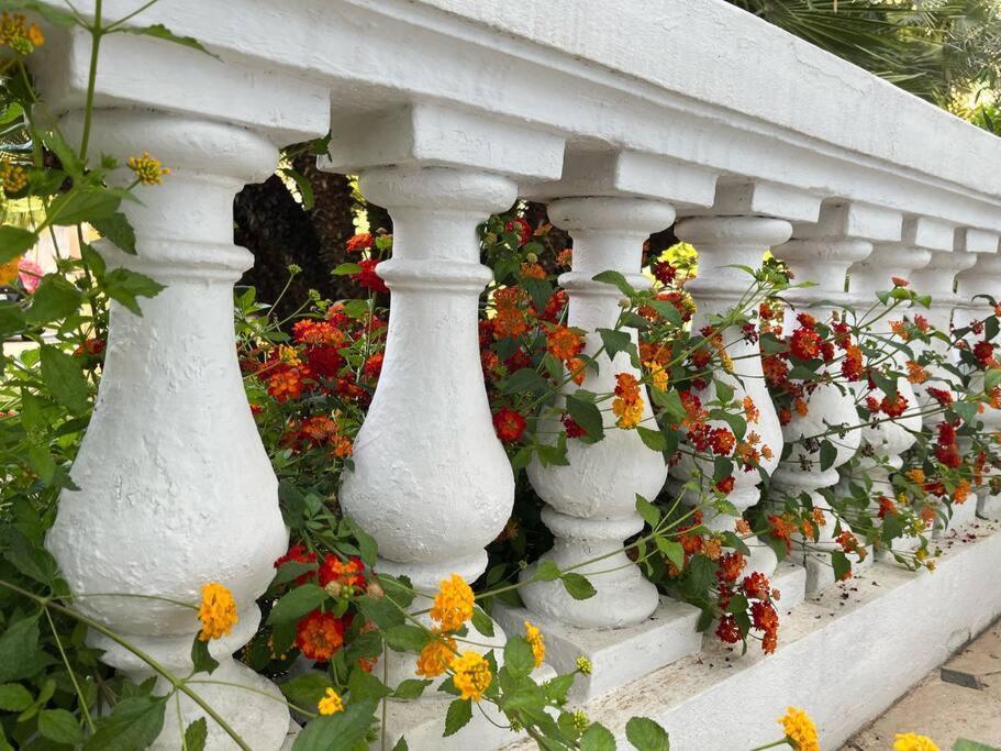 Beautiful Garden Apartment Steps From The Beach Mentona Zewnętrze zdjęcie